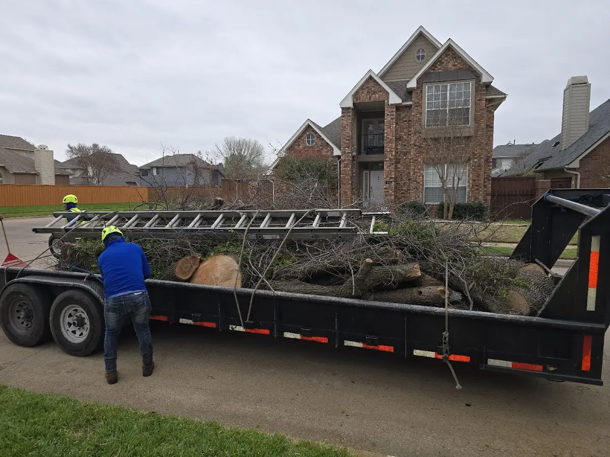 Expert Crown Reduction with proper safety equipment in De Land